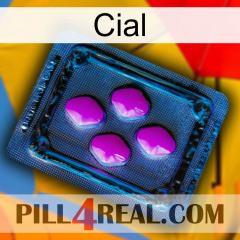 Cial 04